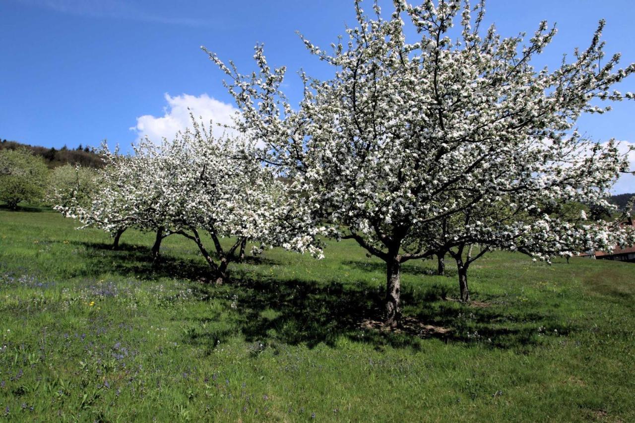 Ferienwohnung Wilderer Stube Sasbachwalden Exterior foto